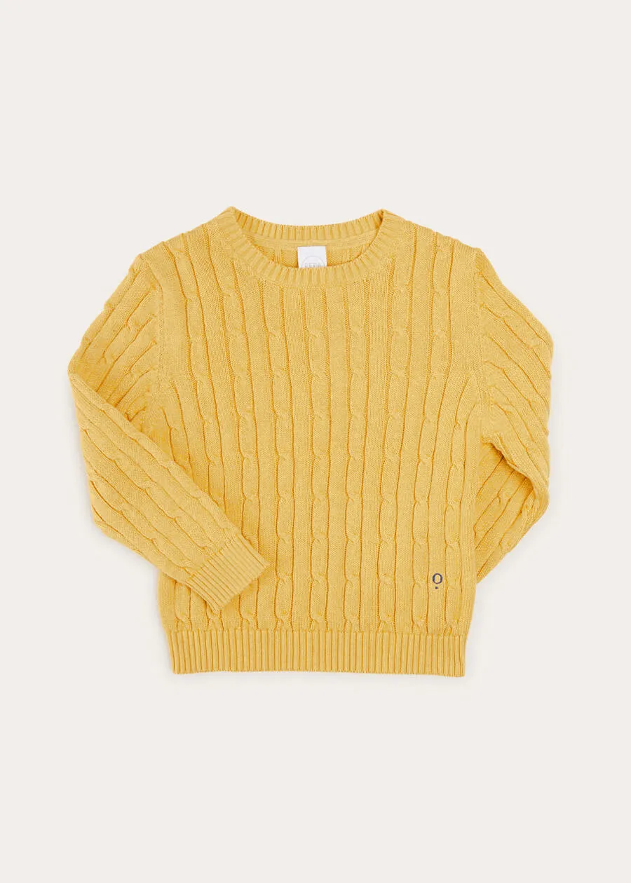 Cable Detail Crew Neck Jumper In Mustard Yellow (2-10yrs)