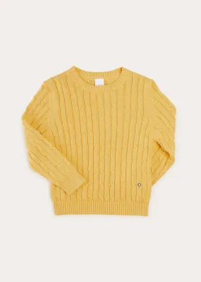 Cable Detail Crew Neck Jumper In Mustard Yellow (2-10yrs)