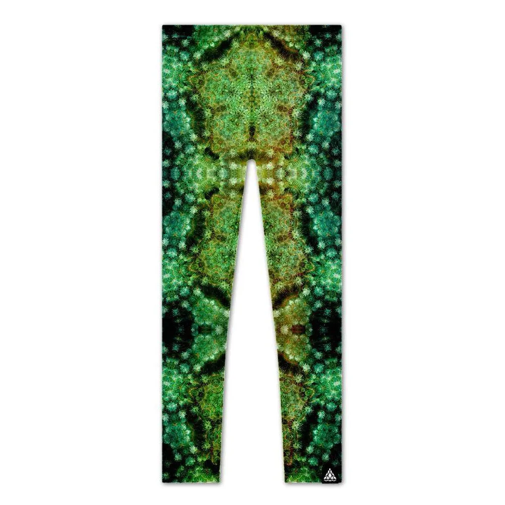 FIR VORTEX LEGGINGS