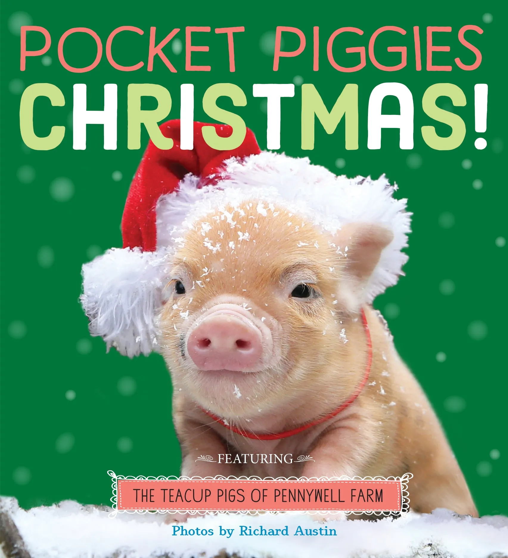 Pocket Piggies: Christmas! Book