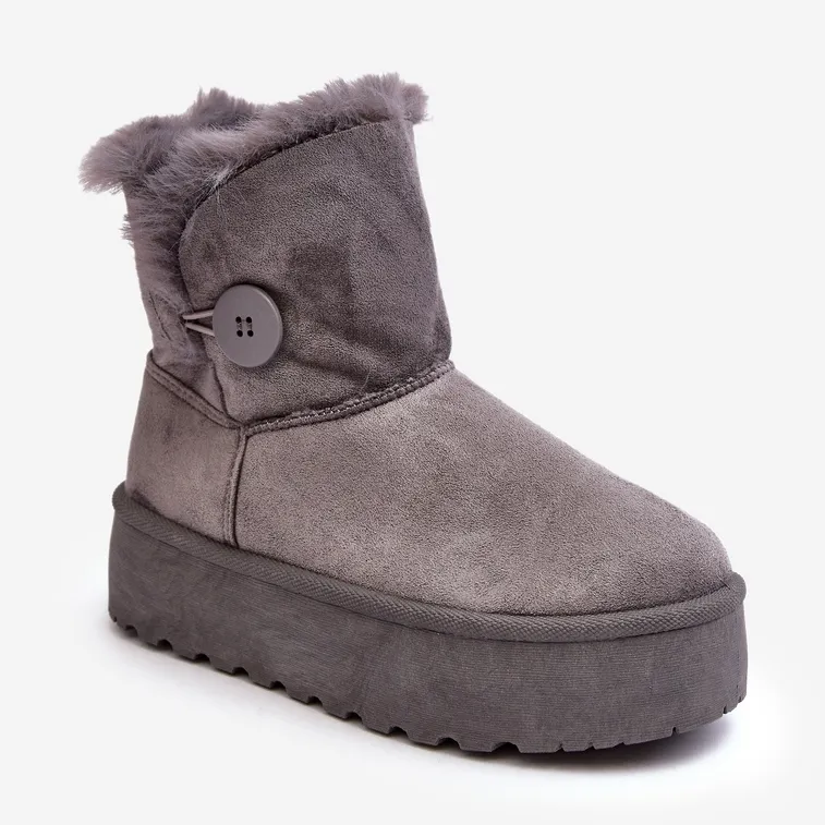 Women's Platform Snow Boots With Fur, Gray Vikas grey