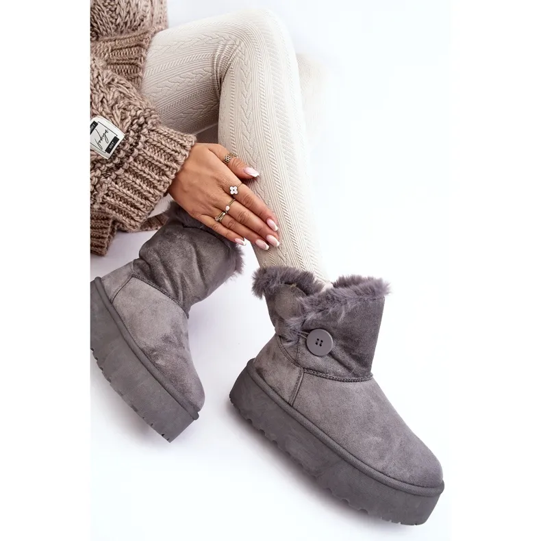 Women's Platform Snow Boots With Fur, Gray Vikas grey